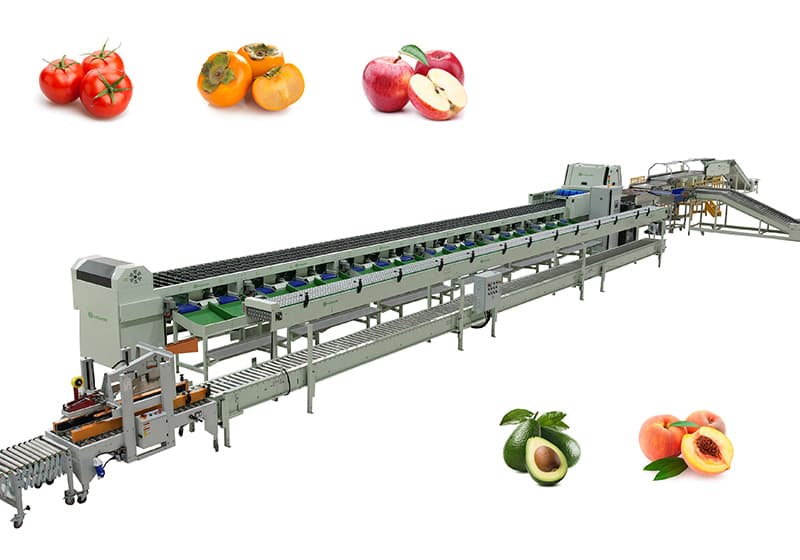 images/1710758432667fruit optical sorting machine.jpg